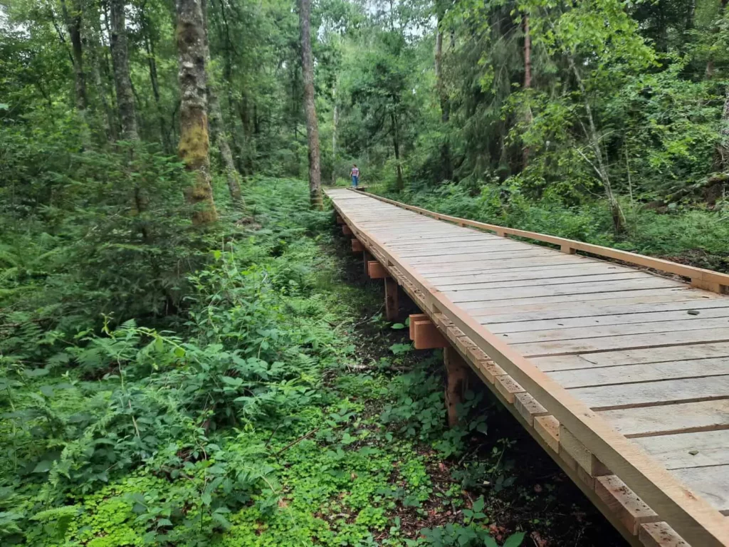 Montsauche Les Settons (5)