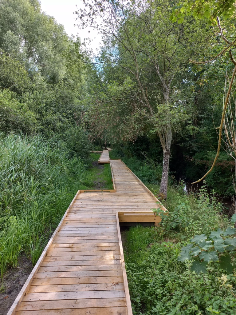 marais-des-brosses-2