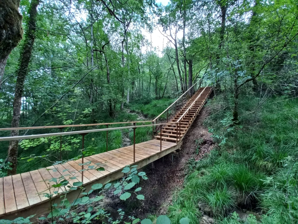 marais-des-brosses-3