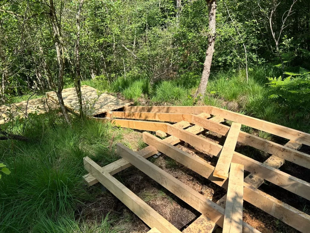 marais-des-brosses-4