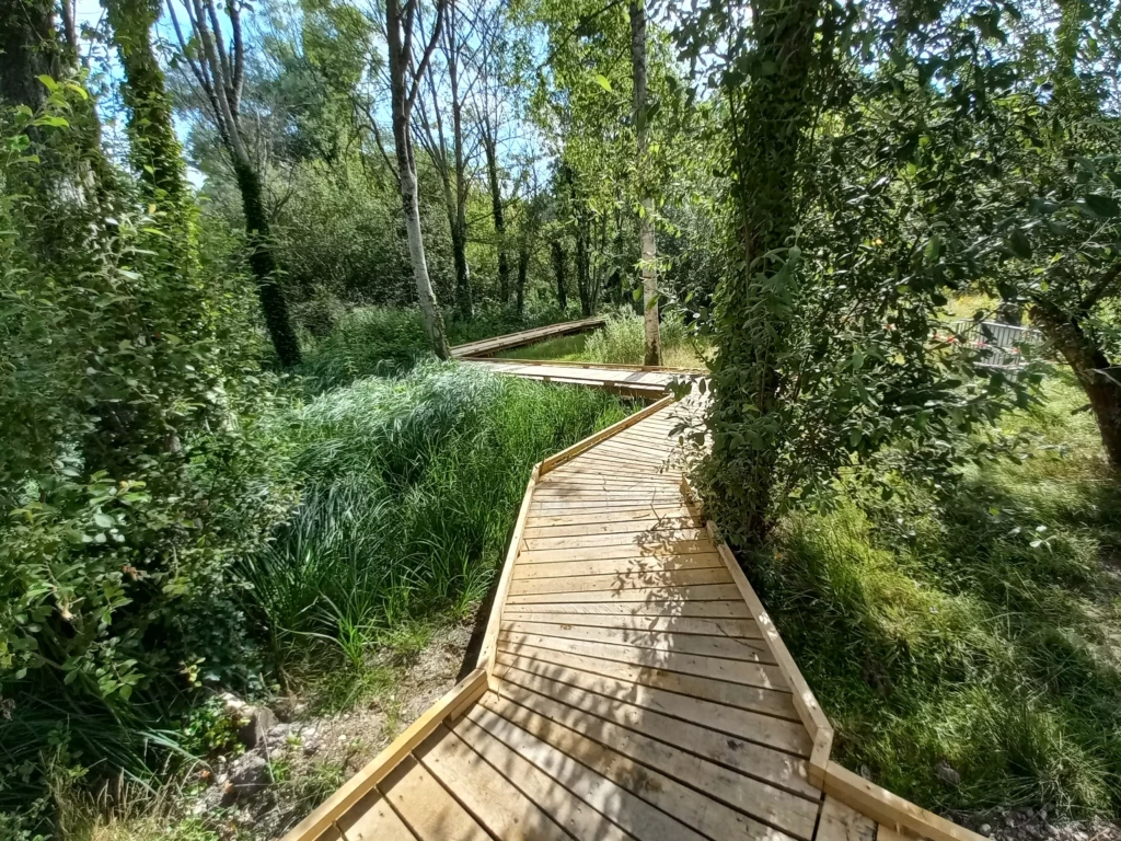 marais-des-brosses-7