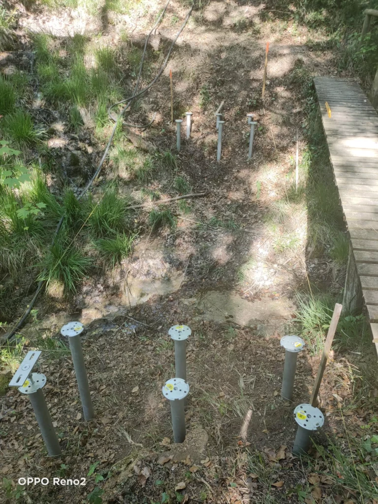 marais-des-brosses-8