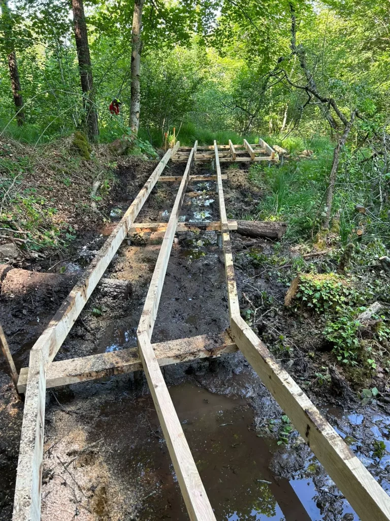 marais-des-brosses-9